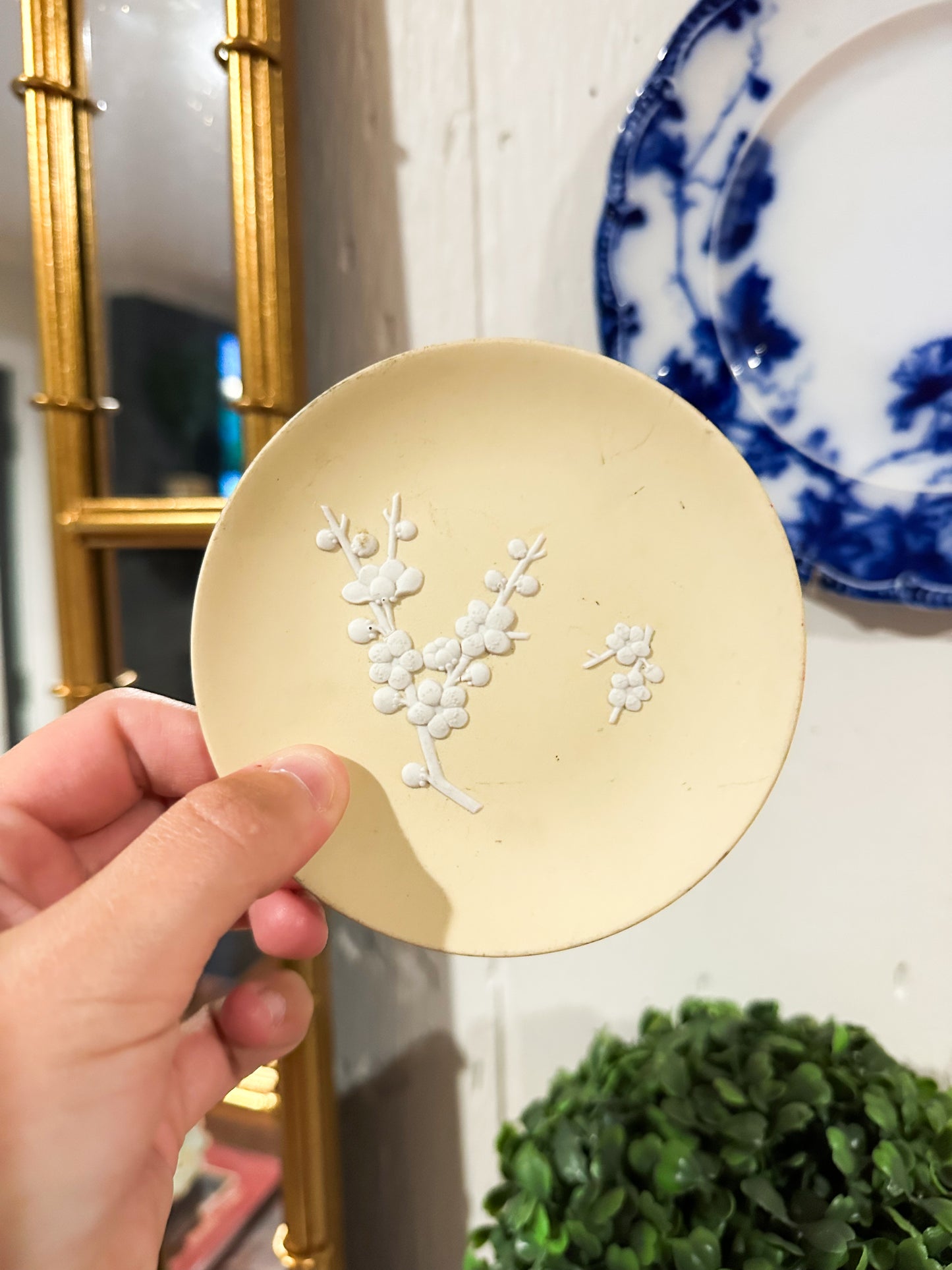 Yellow Wedgwood