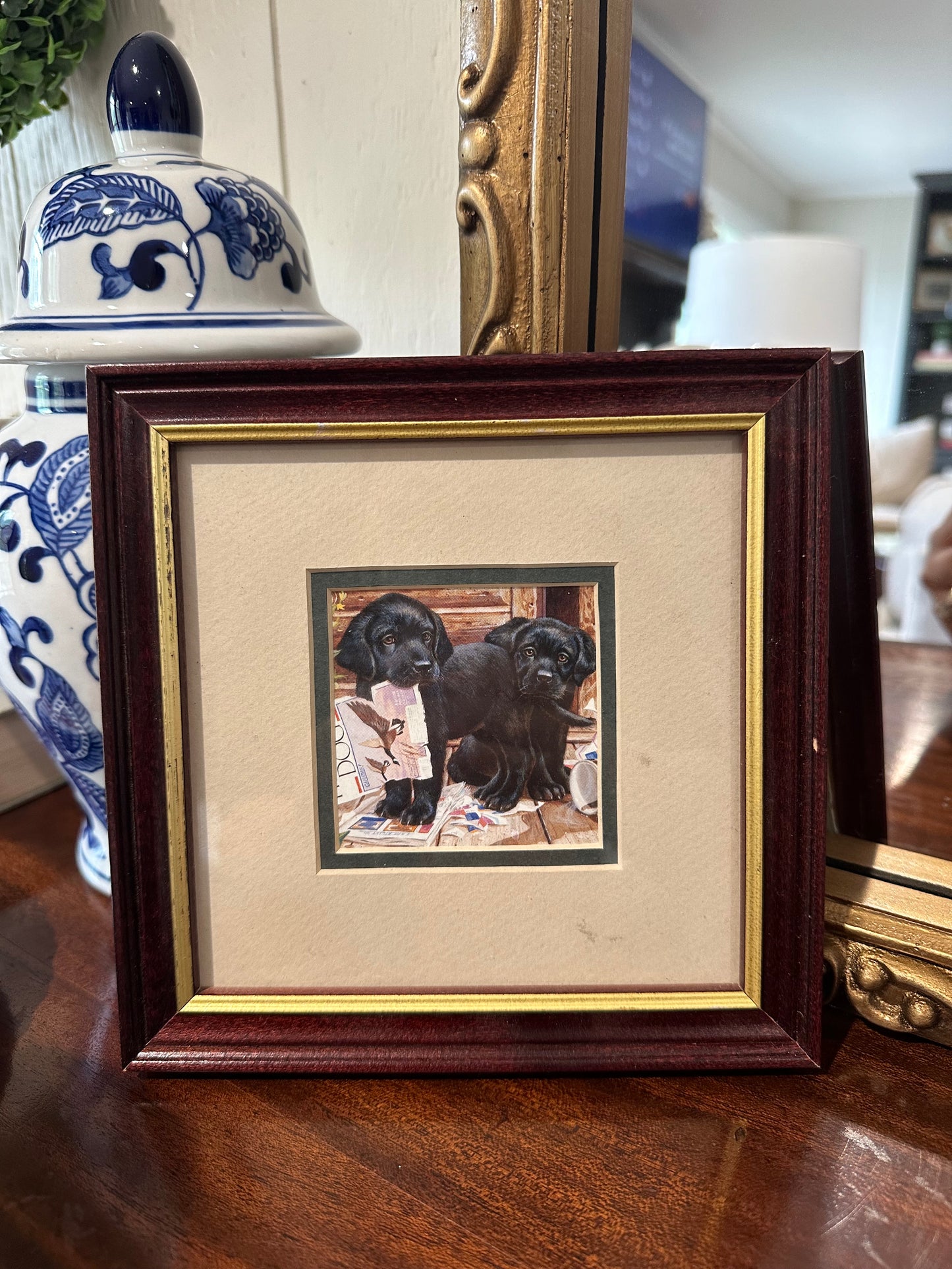 Small Framed Black Lab Puppy Picture