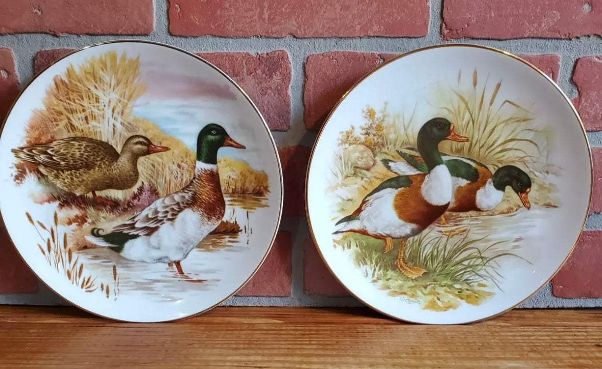 Pair of Gold-Rimmed Mallard Plates