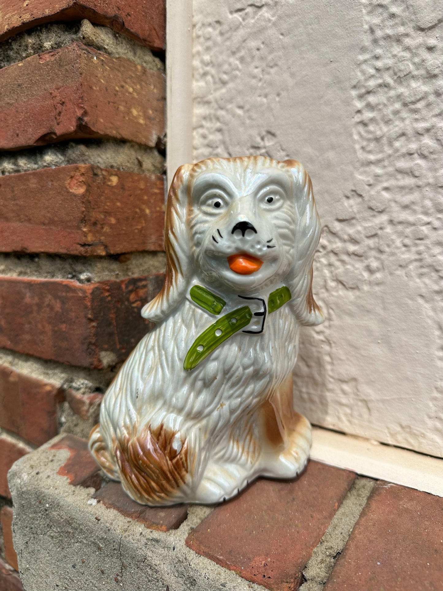 Staffie-Style Spaniel