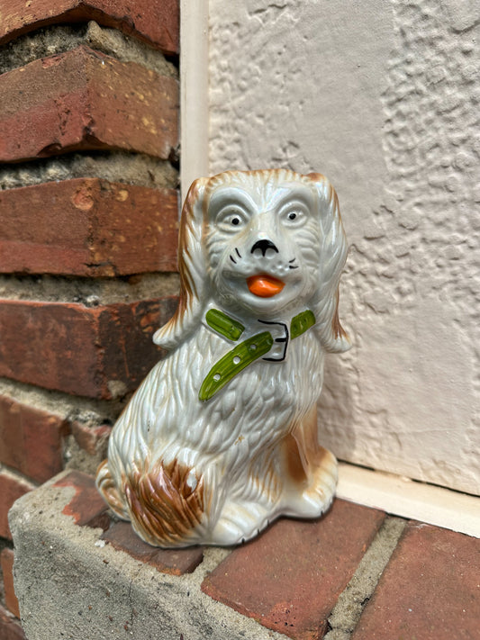 Staffie-Style Spaniel