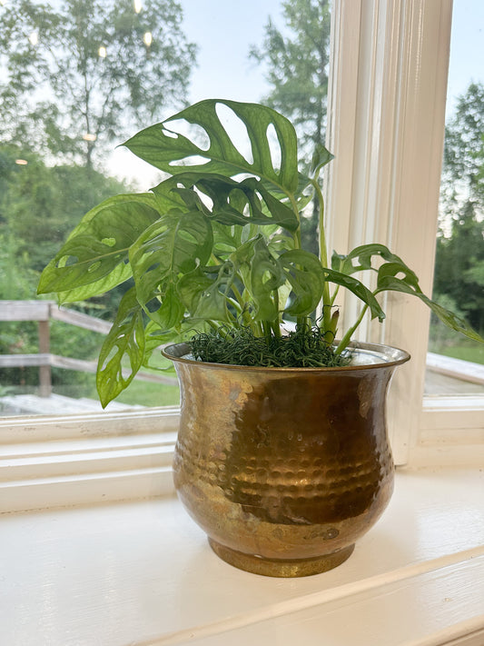 Brass Pot