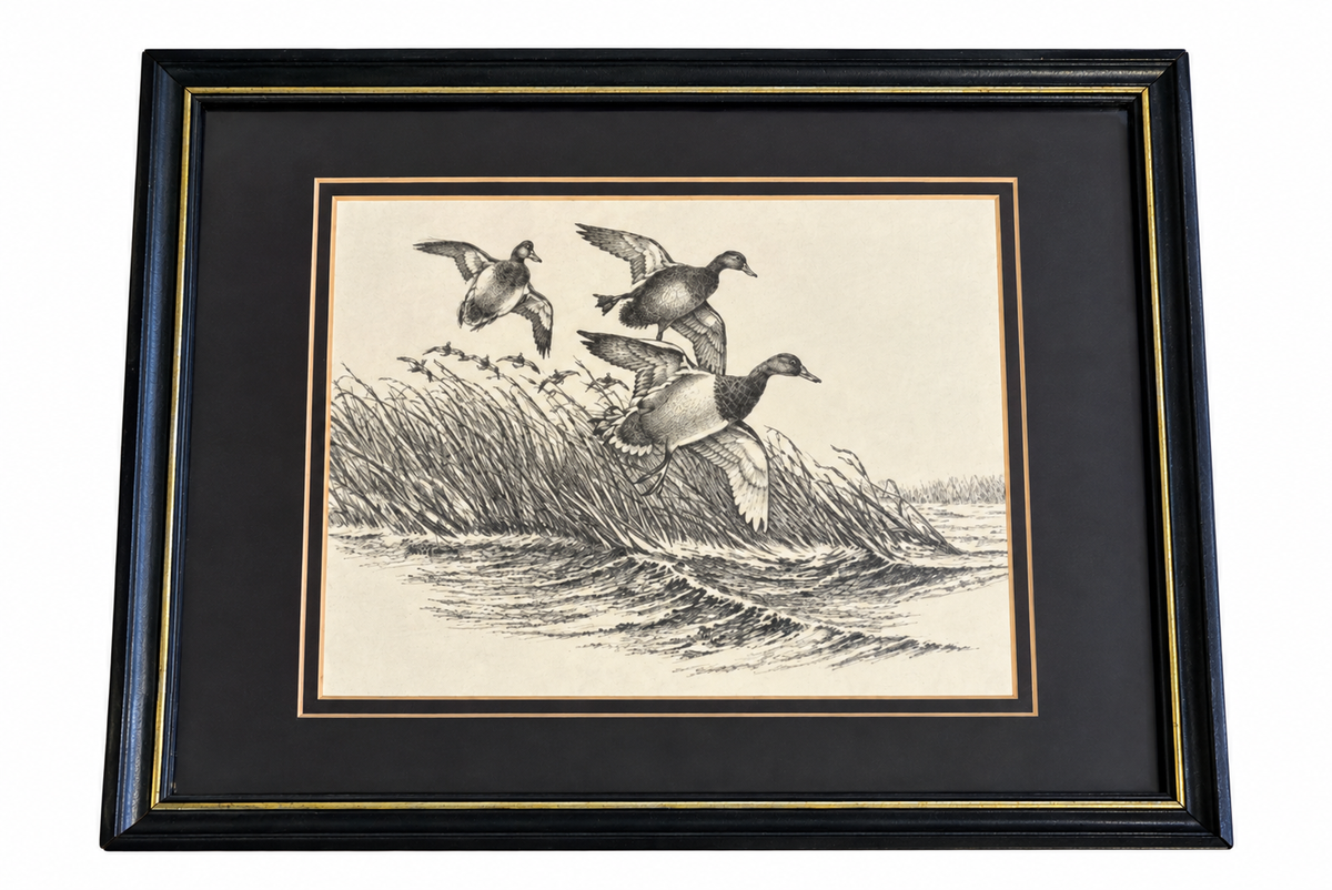 Framed Duck Art