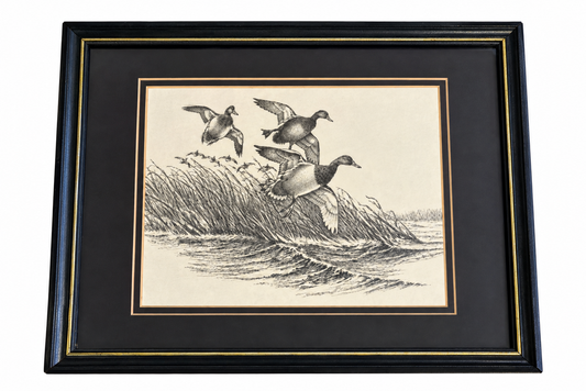 Framed Duck Art