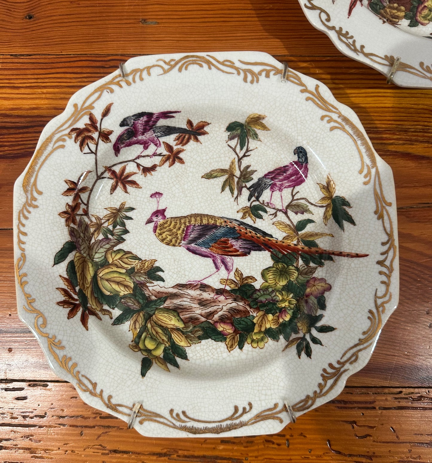 Colorful Pheasant Plates (Set of 3)