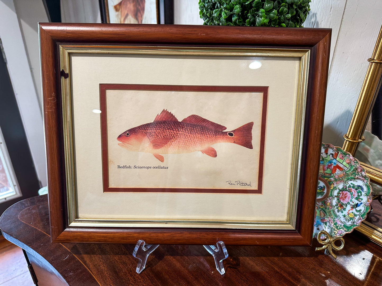 Framed Red Fish
