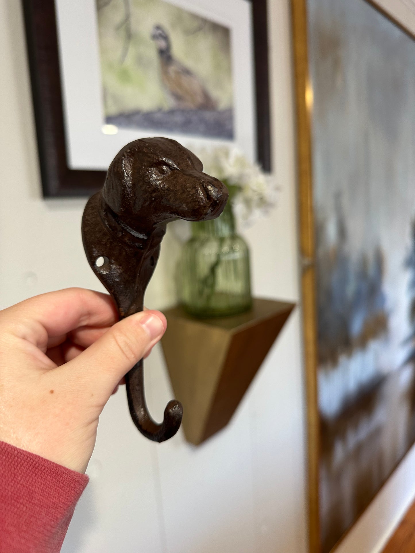 Metal Dog Hooks