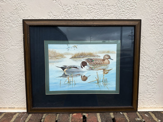 Framed Duck Print