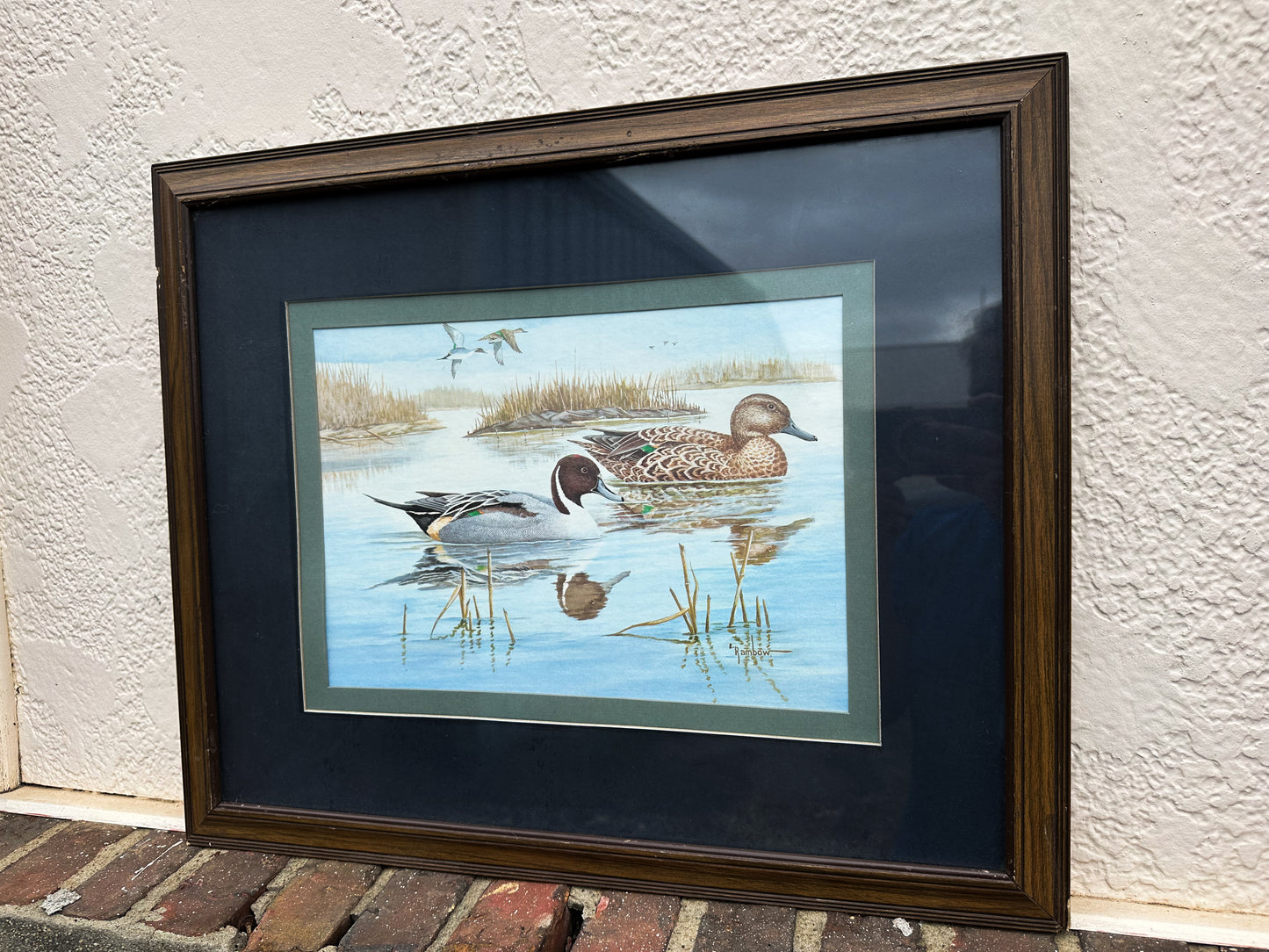 Framed Duck Print